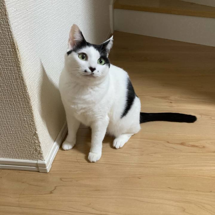 3507efa6 f624 43ff 85e3 3cfa51f2c816 1764014608685