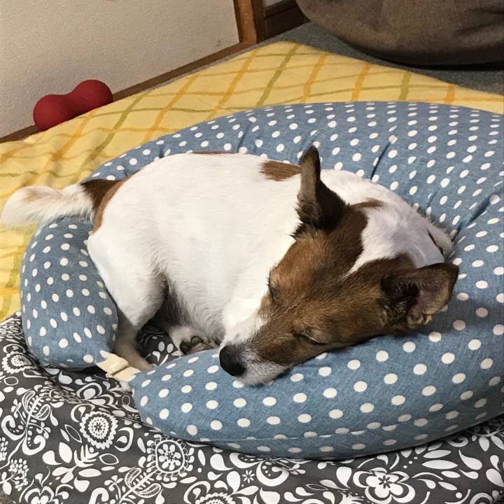 3507f9fa 7c0a 49fe 851c 245abfd8d42b 1534085003143