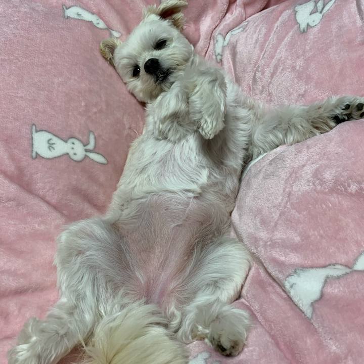 3507faf4 5160 4de5 a54d afbf9e32a954 1579960050935