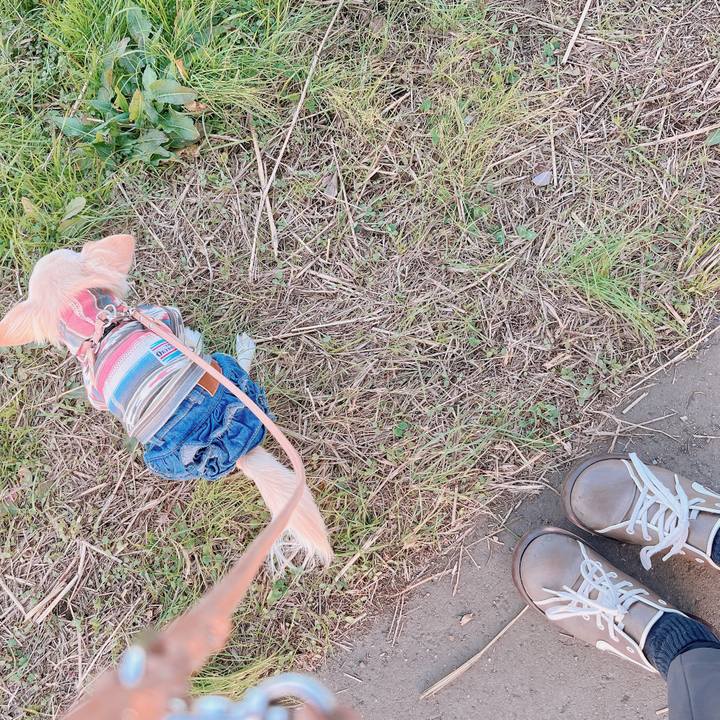 350823af 8549 43ca 99c1 95ab8460c4a3 1670834928402