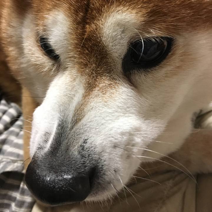 35085b87 3baa 42c1 89e6 cd0a6fc99bf0 1523700003646