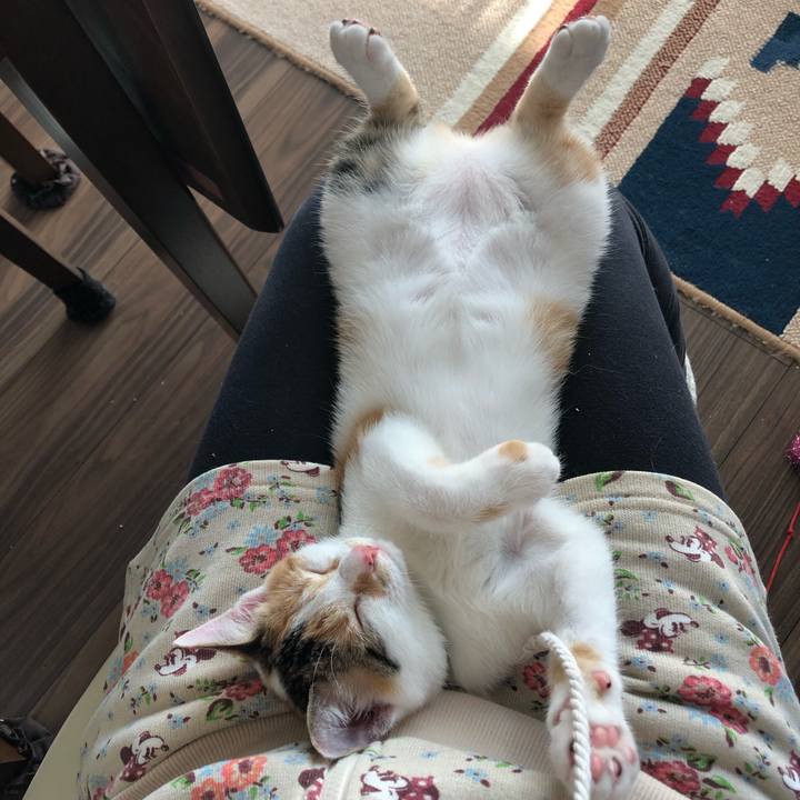 35086016 b3d8 4c21 a13f f01d41211438 1565417602836