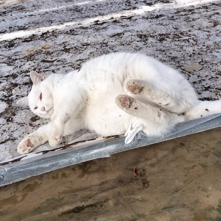 3508626c 2c9d 4a2b 8380 966ba76108d1 1770695329115