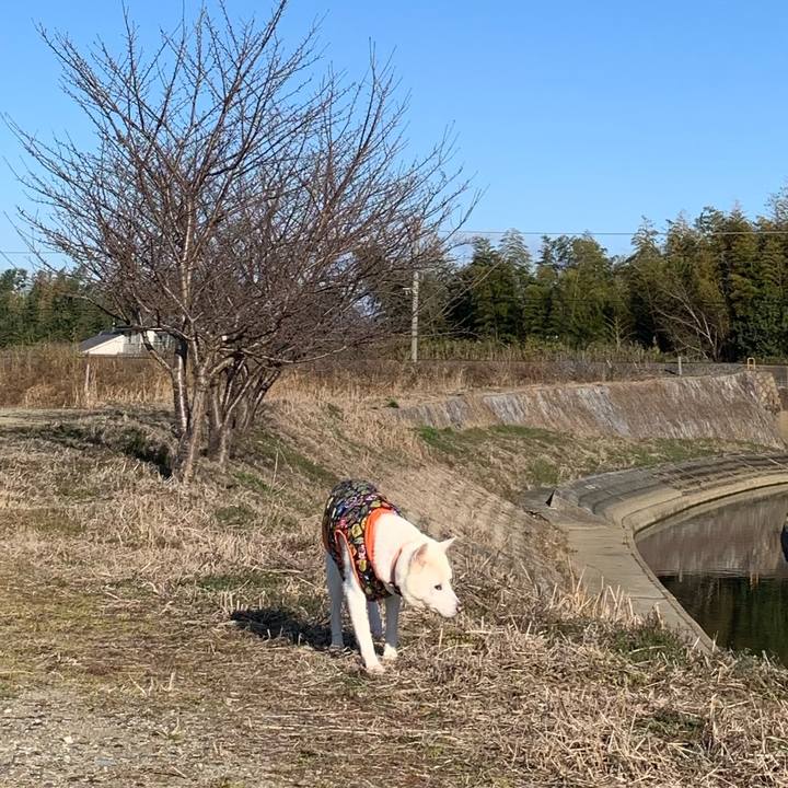 35087128 91e4 4311 9caa 607e91fac0f0 1581278592341