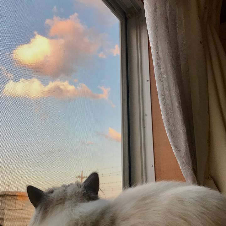 35087554 2764 4504 812c 69a9d7bd406b 1592082322753