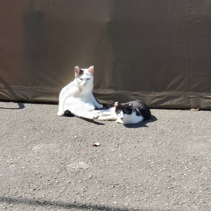 3508a00e 6363 496c ada3 c1c7fa1edffe 1713237053210