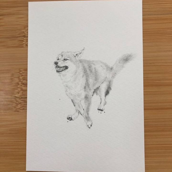 3508a1ba 9ab5 49eb 846c a2524b9e0904 1633328110811