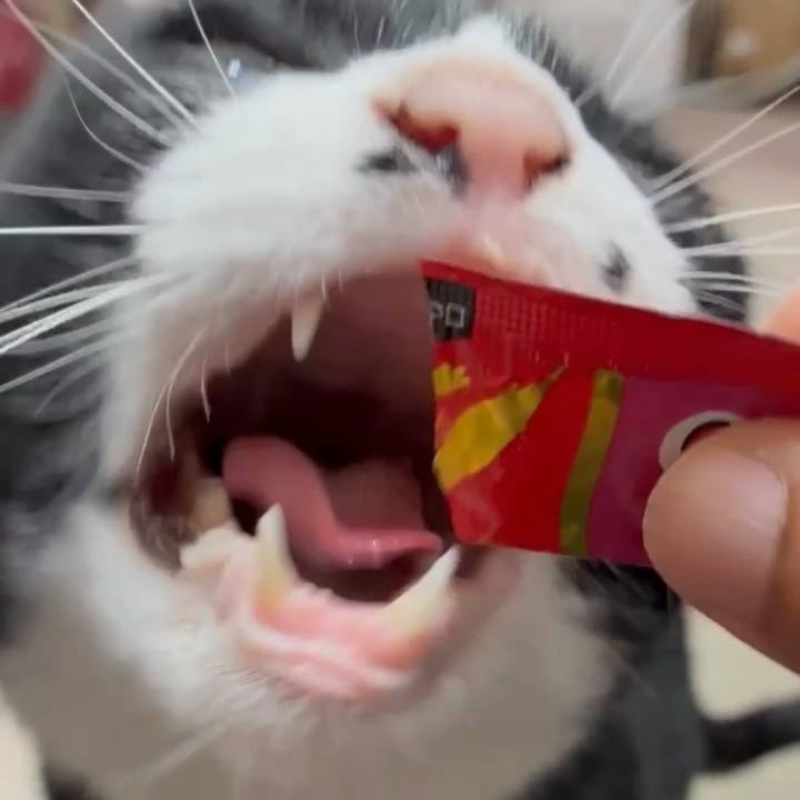 3508ae79 490f 4ceb 850c 8f3d19ba9105 1754013663464