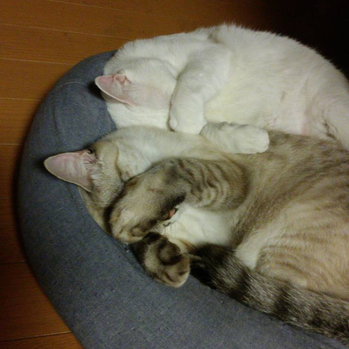 3508b108 3bbe 4a37 8d38 1c5c984f7960 1508068946398