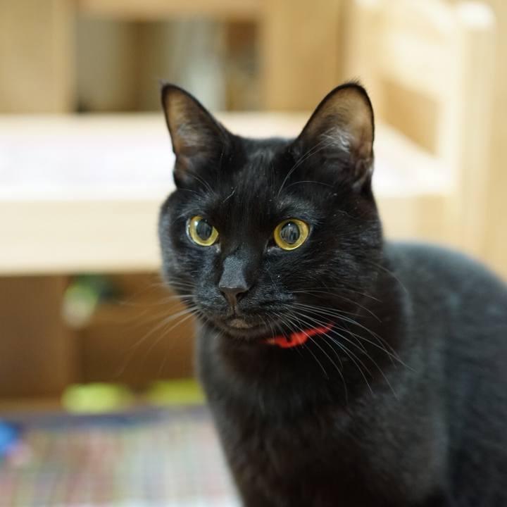 3508c9dc 3a26 4717 bd58 fa6606fee9c9 1552605934621