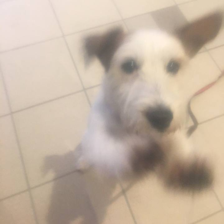 3508cf5a 8a55 4587 87cb 1f45a1f7ce8c 1537484735156