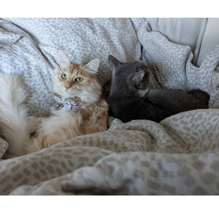 35092074 b19a 43ff a470 34bc0006be03 1735695589250