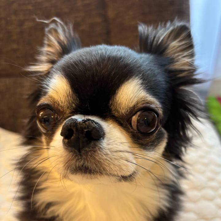 3509517e fb74 40ec bd04 7ce0714c1caa 1741995820819