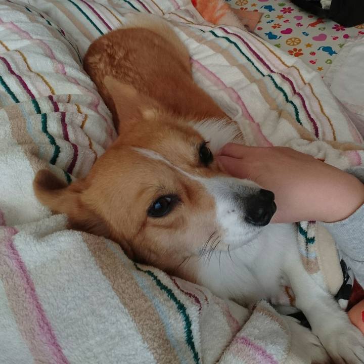 350957f2 c891 4135 aecc 8bbaf55fbf16 1512343216089