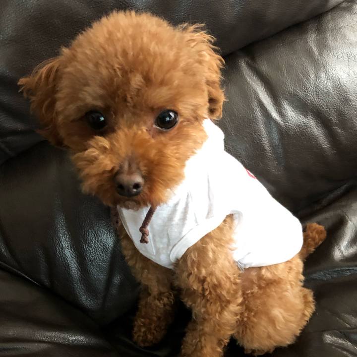 3509593e 3083 4a58 9355 1213e3ae8d80 1555820657985