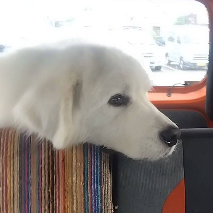 35098ded 44c5 4899 b127 56524b75f155 1684642372791