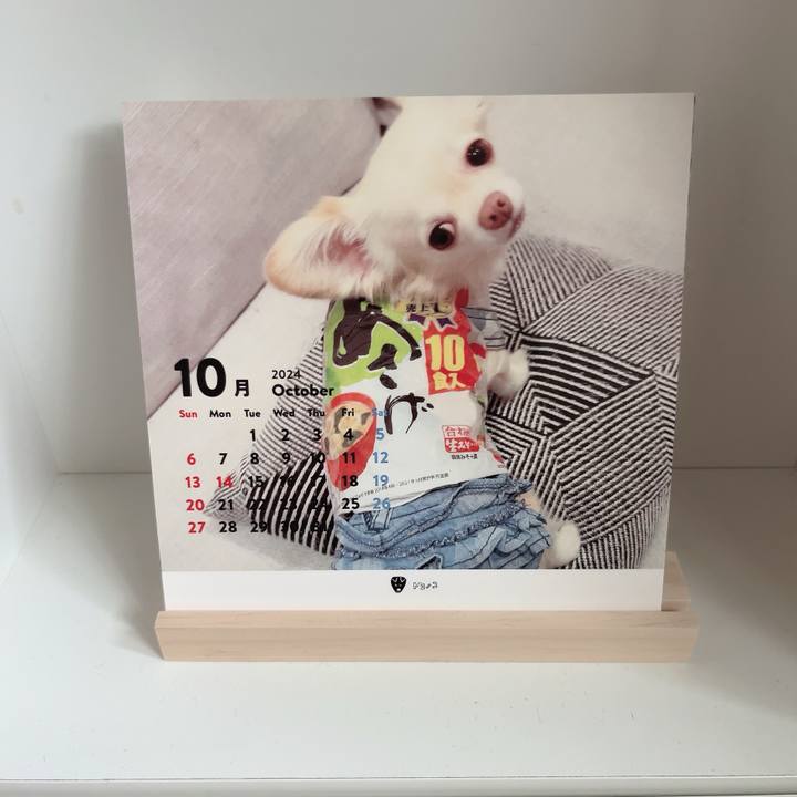 3509b570 6ecd 4e1b b922 87bb9ba1f7c6 1727753700560