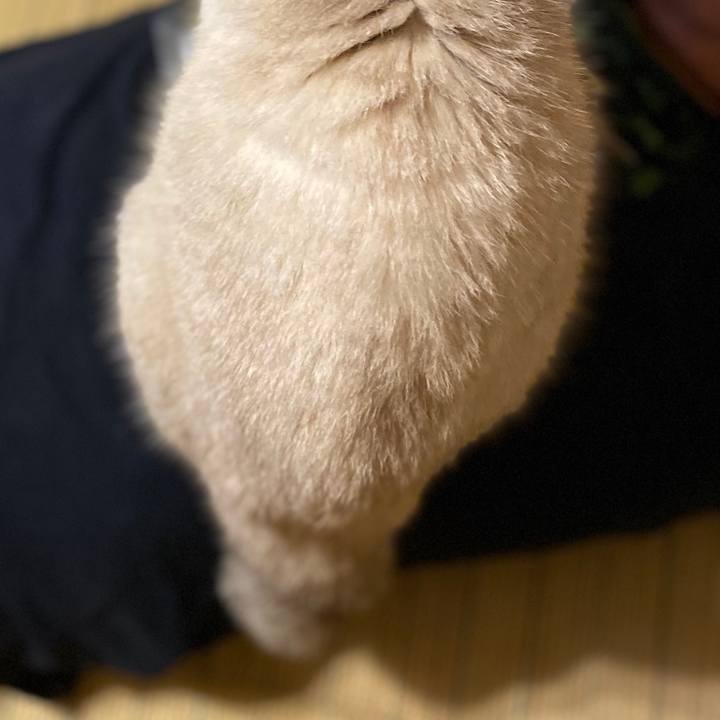 3509d2b7 ca7e 43d4 8aaf c1fa26dd9148 1595762794305