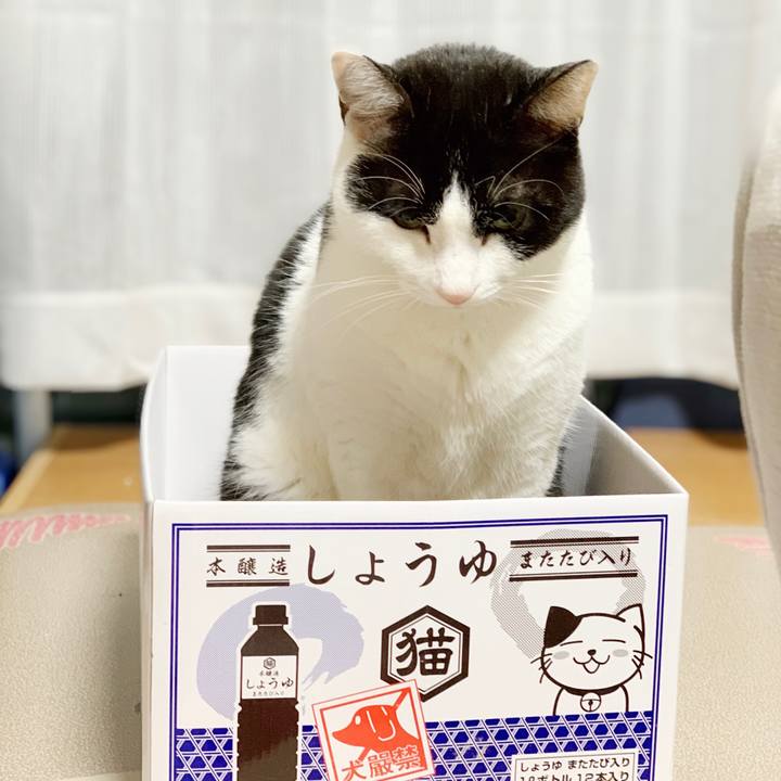 3509da13 4c5a 4171 85be e64ef4b2f6a1 1552009654431