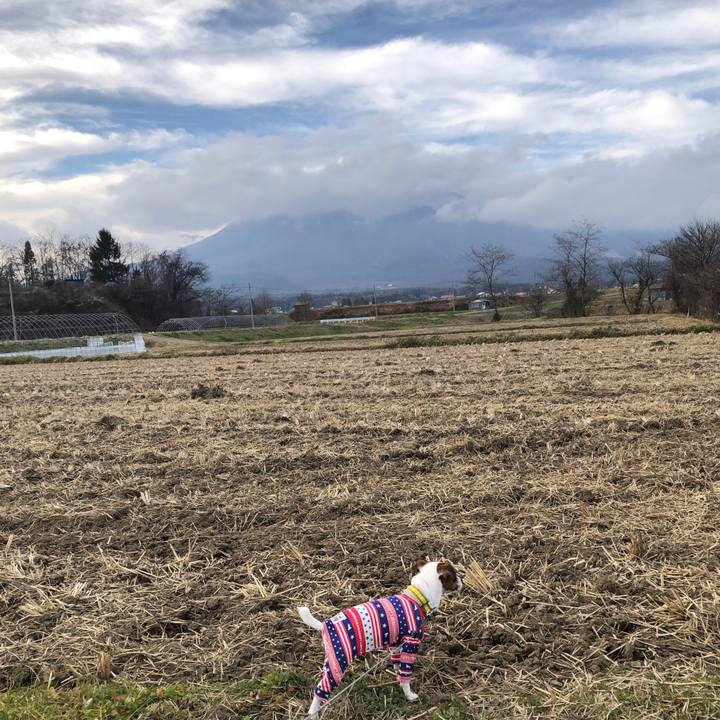 3509dd29 6155 4e29 9e21 adc607289f72 1543215326191