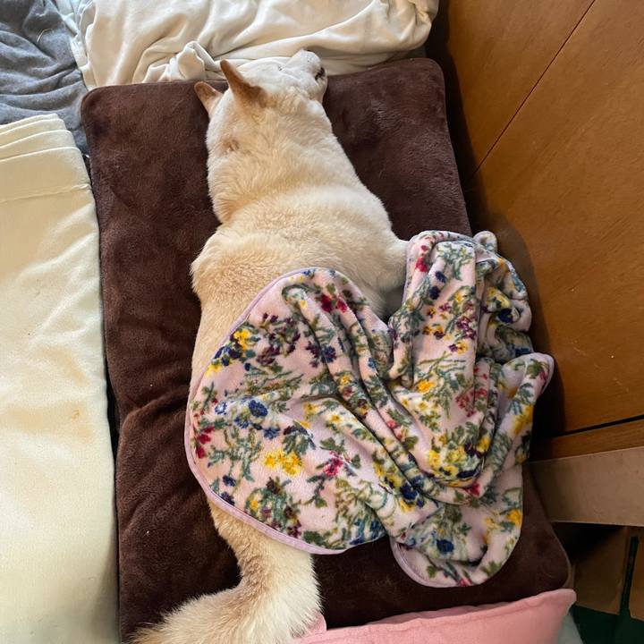 3509e68d 601d 4e60 9ad6 44f28634adef 1635919761059