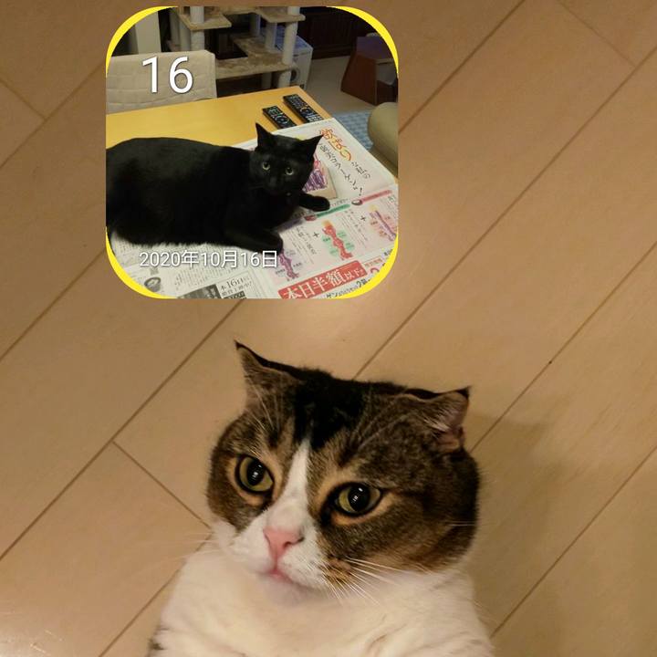 3509e869 9377 4945 8d7b 1d167145a21b 1634367134595