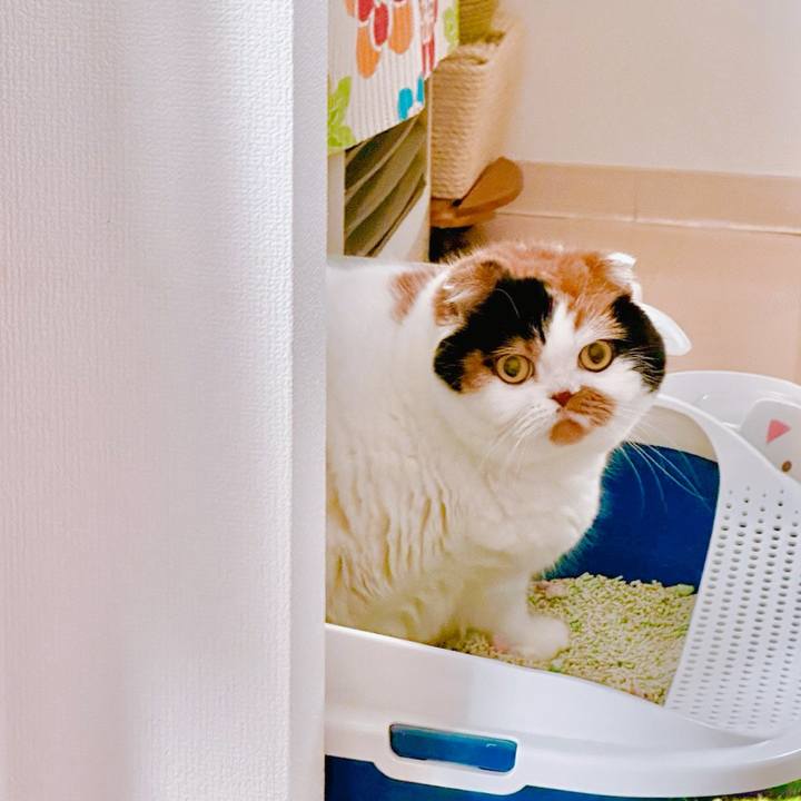 3509ea2a 3130 4a78 8093 22e1dfba62fc 1702513097849