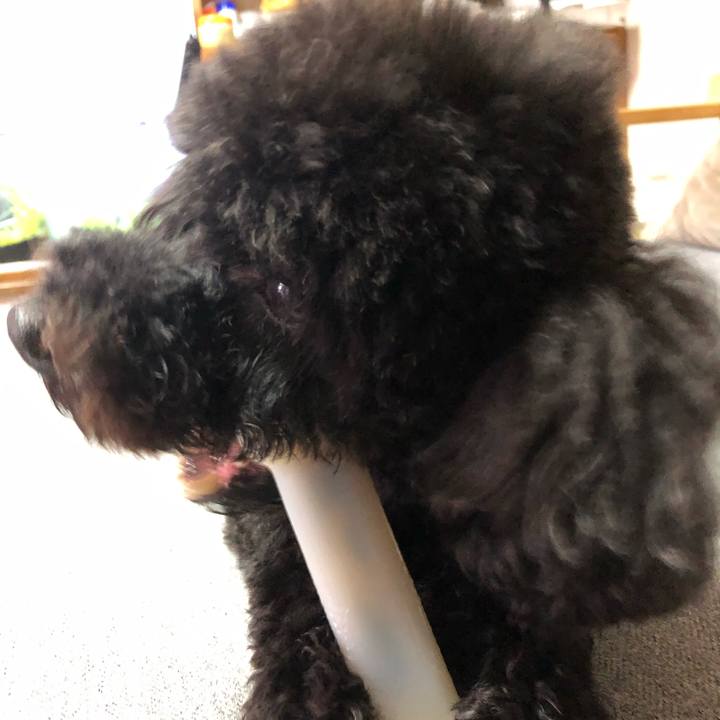 350a0f02 b7dd 407e 965f c55985d45ec9 1589606409403