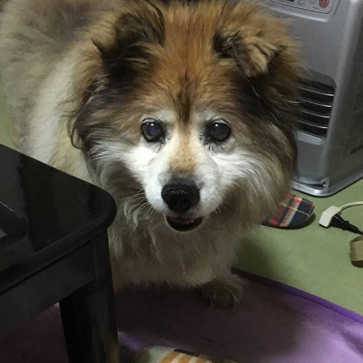 350a20a4 297b 428c a728 5e4d9b3beb46 1602293511864