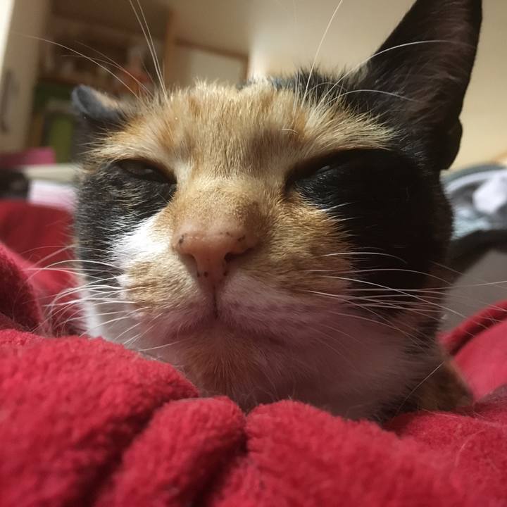 350a29bf a82b 4904 88a5 2947f4c4e2d3 1522892036105