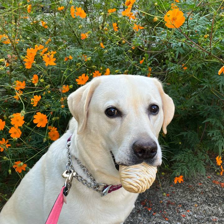 350a4bf2 d789 4c65 b824 746dd7d9fffd 1664145445406