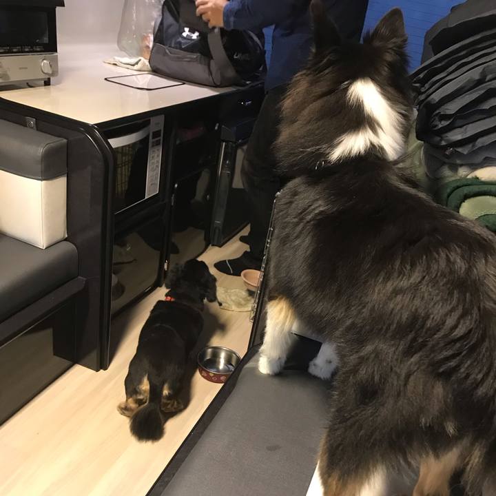 350a86e9 00c1 423b abe9 3b84ccc7bf41 1542923557198