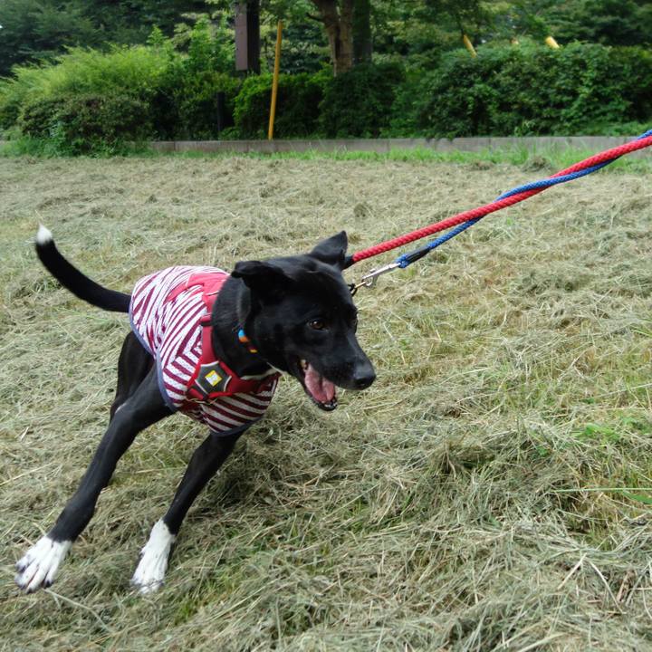 350a9f5d 6012 455b beec 031e5fae5257 1596584803552