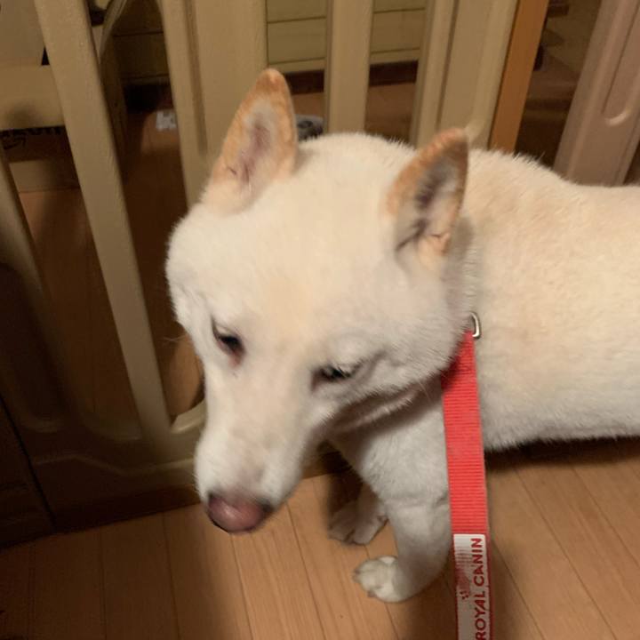 350ac06b f5ab 44cd 8d18 68c1e0c8eb33 1598734718319