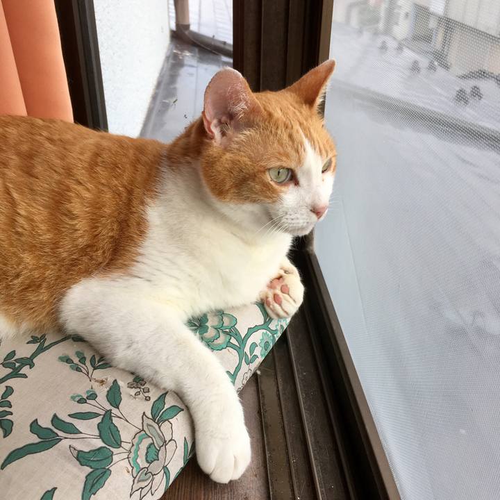 350aecd0 e998 4c24 8e6a 81c124ec5d07 1564537828699