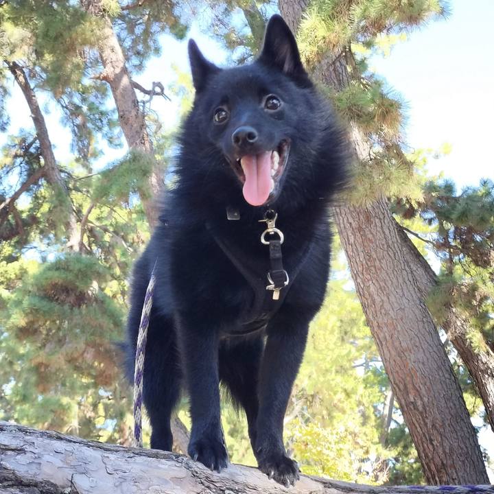 350af57a ca09 4d6a 8ac0 e925bcfec4b8 1763294062604