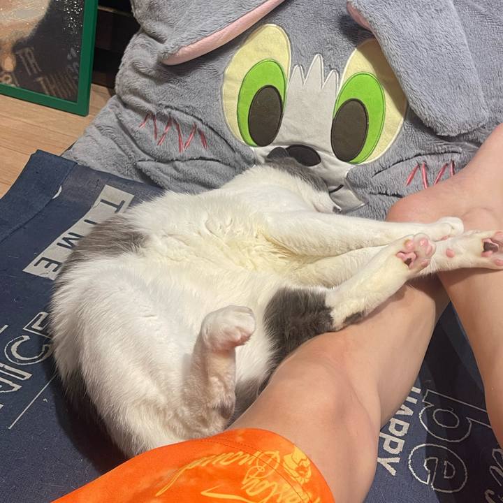 350b014a a913 4b01 932e d92f44ed7303 1748452895120