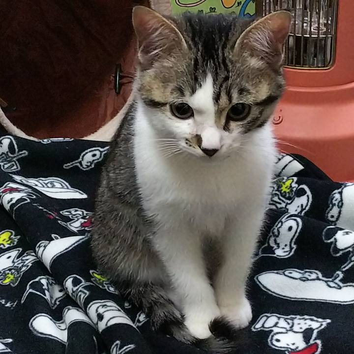 350b259d 3383 4d38 a678 7a52aa84be7e 1610113647425