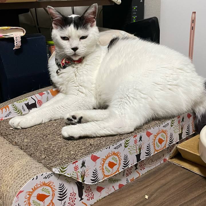 350b36af 5655 494d 8dc2 6802d0553541 1724072575297