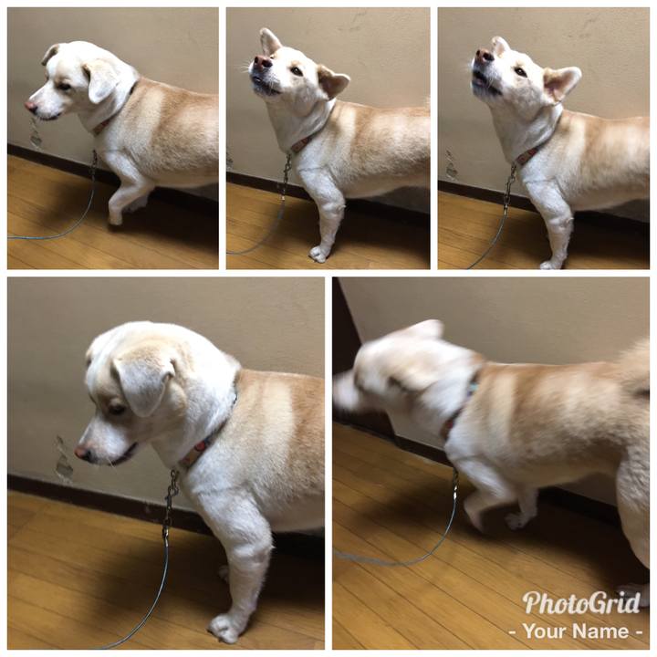 350b3f31 86cf 4d5d 9499 953e90efbc1f 1508660179216