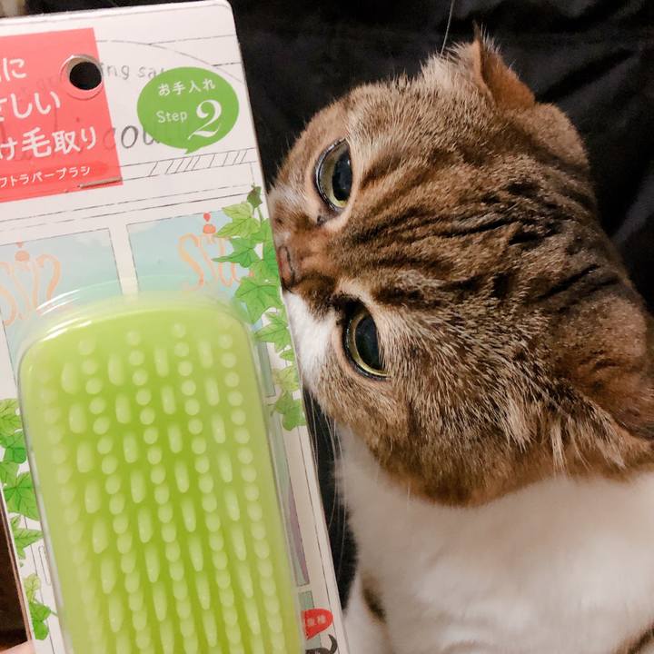 350bc24f 567e 405e b4fc 73dfd02b9c10 1565443709859