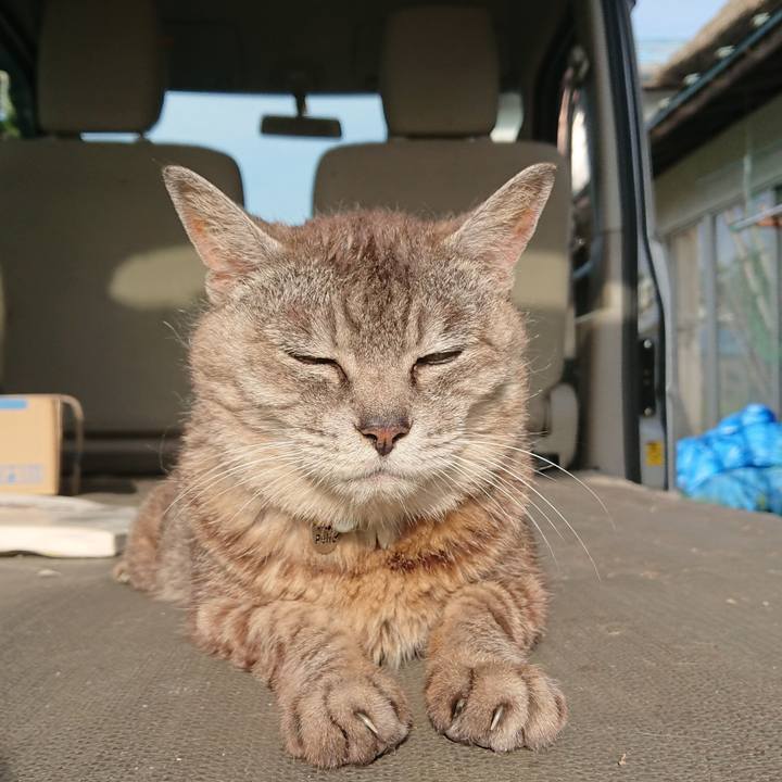 350bc54a ba37 4ccc a200 2916abfaced3 1565562538681