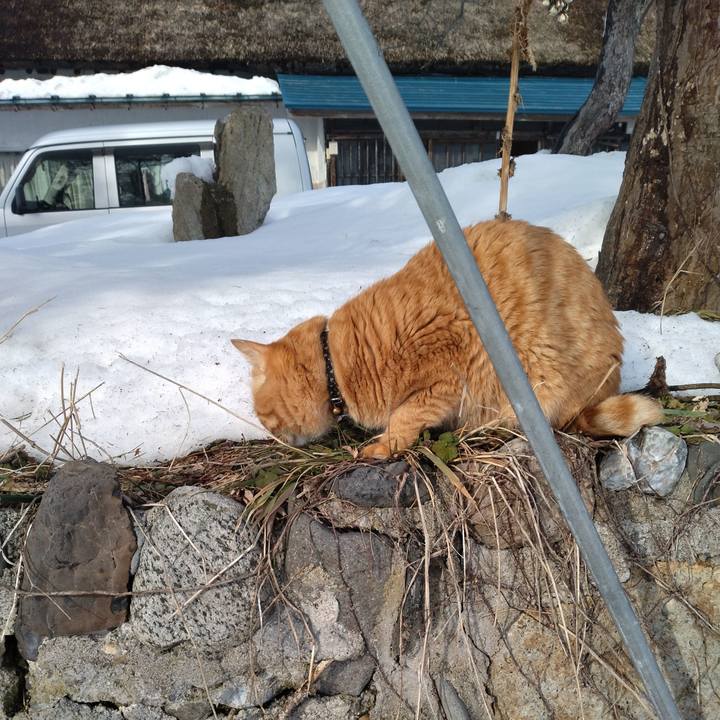 350c0a80 fca7 41d0 a25a 764c809decdd 1675751194180