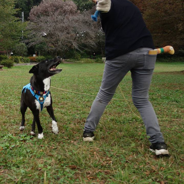 350c0cc0 c3d9 471a a7e1 8b40a28fadd6 1635813516486