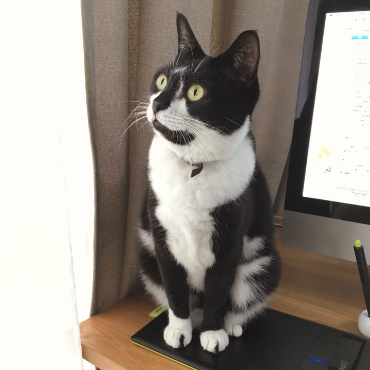 350c313b f0d5 4993 bef9 43459486eaa9 1775435316999