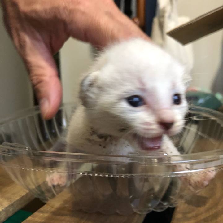 350c492a 0f31 4d90 90f2 e3bd8665a9b0 1596703161382