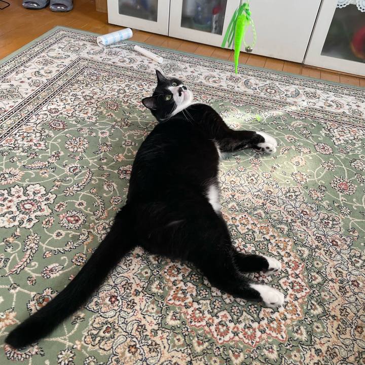 350cbd51 0faf 4360 ad5c a5d336383da9 1690324308629