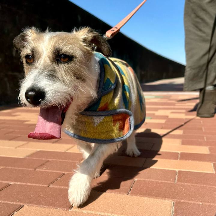 350d315b eef5 4e5f a13c 56ec73a77baa 1708837033320