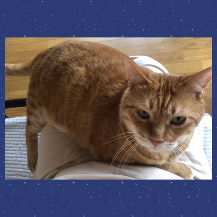 350d8956 2e43 424d 80f1 38d61e23a981 1653633547022