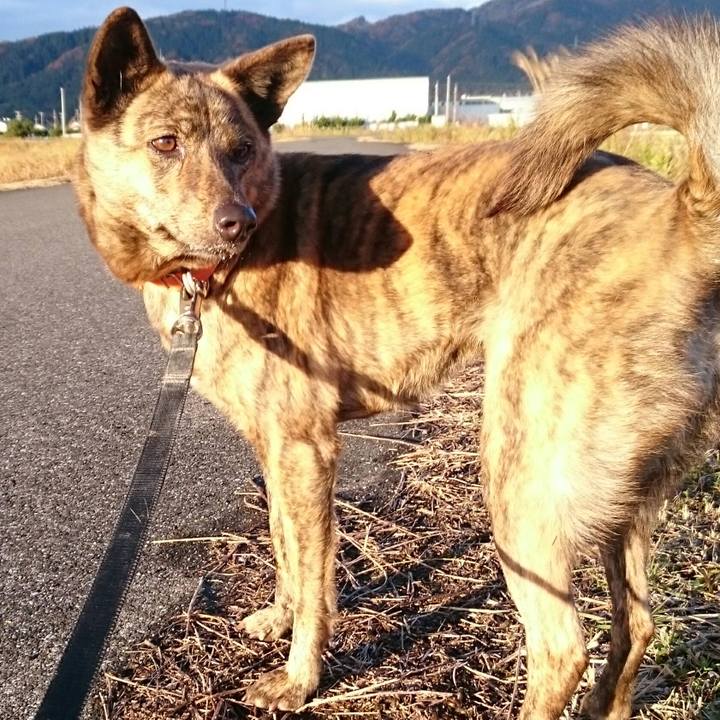 350db78f 9348 4767 80d8 9e3954bc88c5 1512777847130